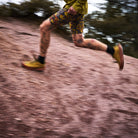 SAYSKY Camo Combat+ Short Tights 9" TIGHTS 1019 - CAMO AOP